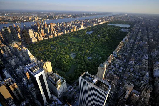gemsofbabus_'s tweet photo. This 843-acre park, New York's Central Park, is entirely man-made. Yes, the entire park was constructed by hand in the 1850s. 

See, urban planning is directly related to economic growth but our Municipal Corporations are busy putting up “I ❤ XYZ” boards. 😭🤦‍♂️ https://t.co/g0YaZIIB9Y