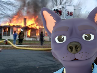 MoonDog AI - Way More Than A Meme tweet media