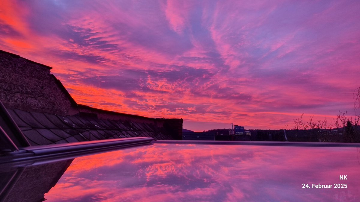 EmiMimi777's tweet image. #spiegelei
#nofilterneeded
#NatureBeauty
Guten Morgen ihr Einzigartigen💛💛