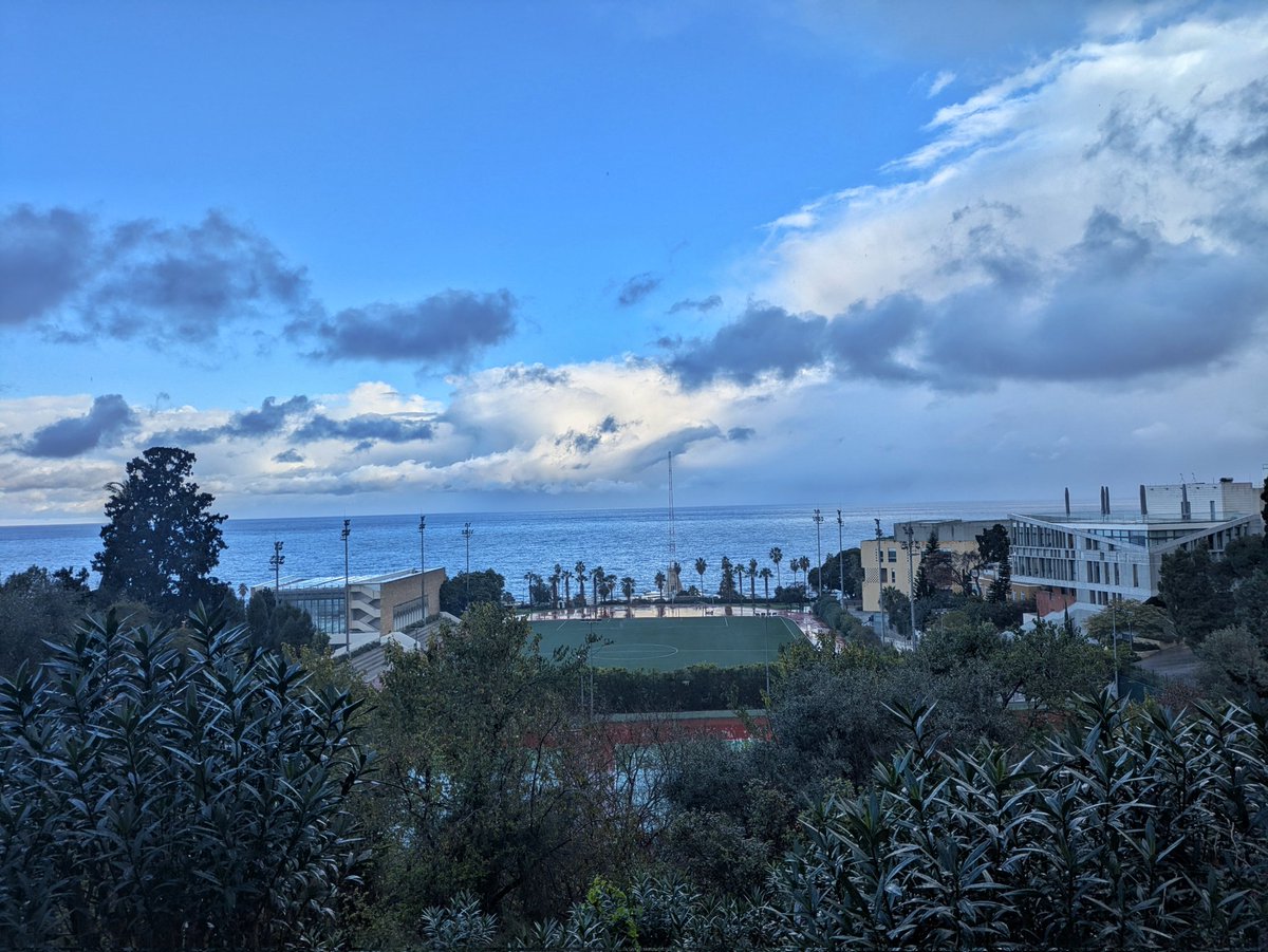 Reem Hoteit 🇱🇧🇨🇦 tweet media