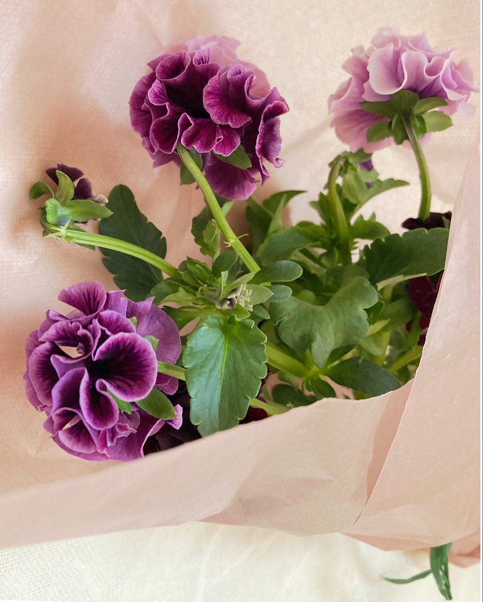 fee44444's tweet image. コトリさんの癒しのかわいいお花にコナフェさんのやさしい美味しいクッキーの心に嬉しい贈り物を  *  ˚  ・ ◯  . ° ・