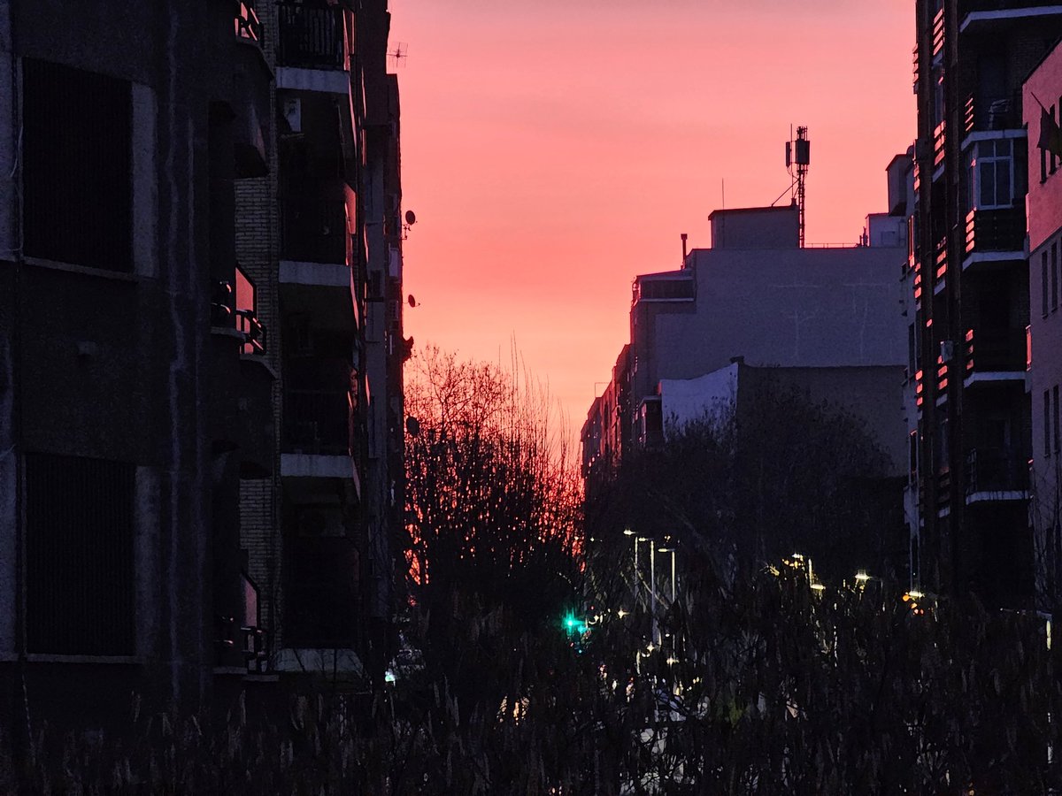 ElBlogdeEmilio's tweet image. Buenos días #PiñaDigital 
Amanece otro día, listo para la batalla.