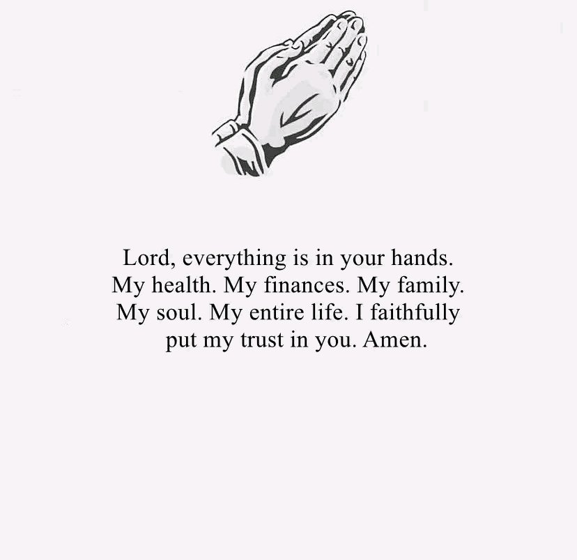 Holy Bible tweet media