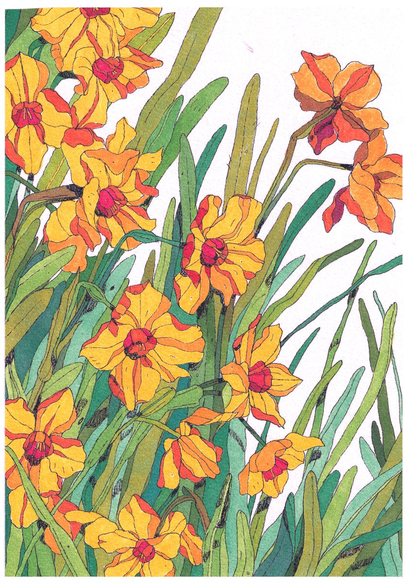 Taylor Price tweet media