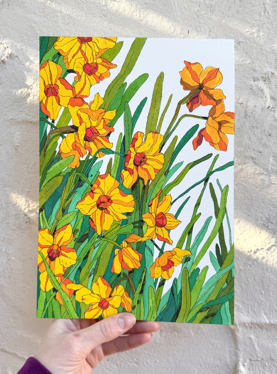 Taylor Price tweet media