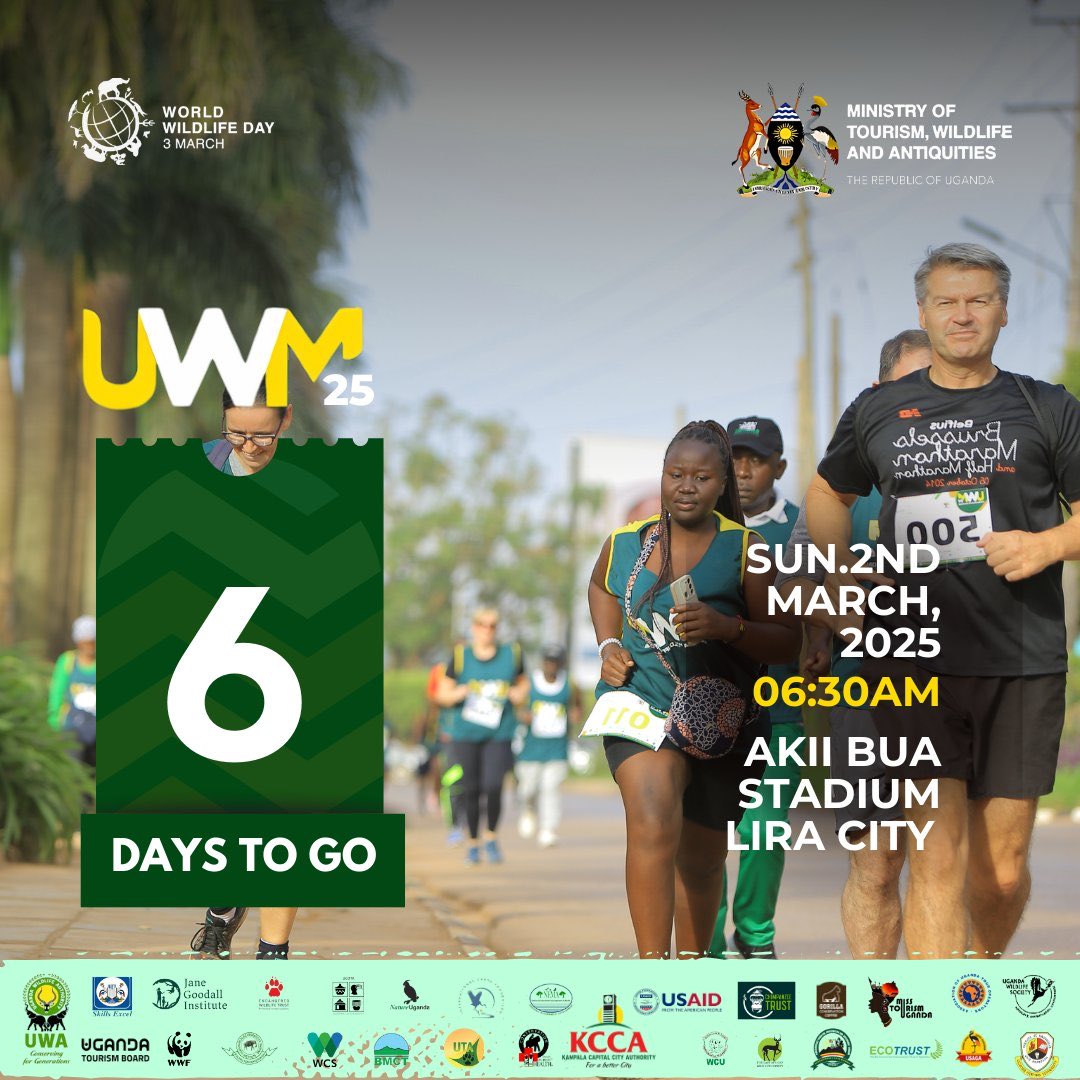 IamGloria250's tweet photo. Get Your Running Kit Today 💃
Kits are still available, Grab yours now at,
📍 @MTWAUganda
📍 @ugwildlife
📍 Unity FM Lira
📍 QFM Lira
Don’t miss out secure your kit and be part of the Uganda Wildlife Marathon 2025.
#WWD2025
#WorldWildlifeDay2025
#RunForWildlife https://t.co/GSwKA9x4Uz