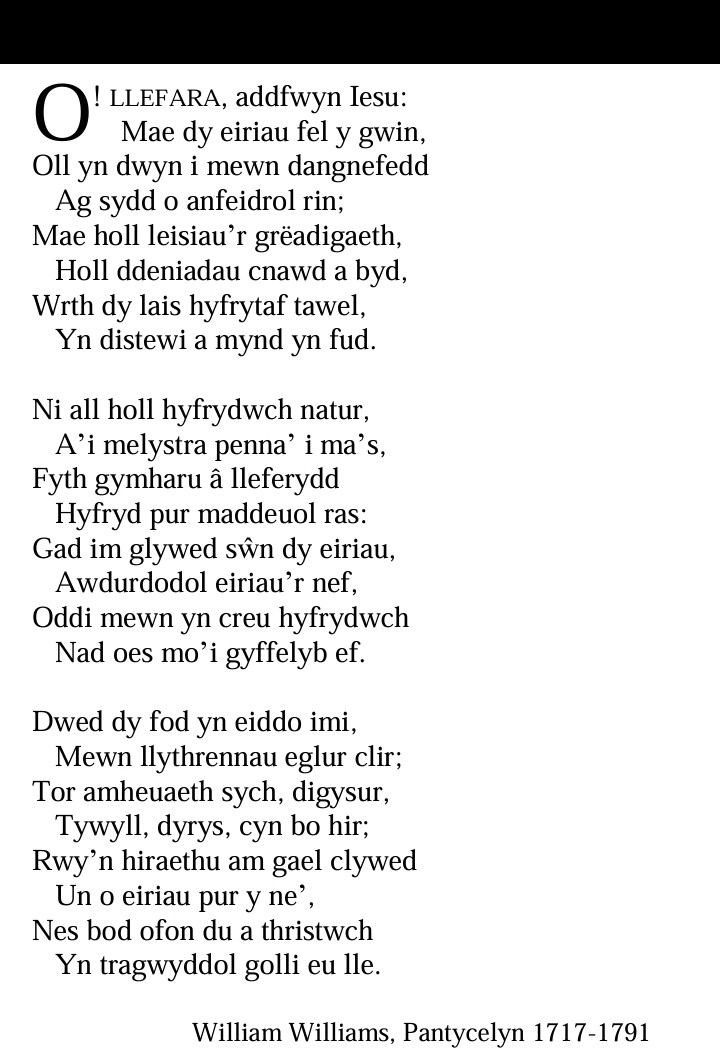 Hen Fethodist tweet media