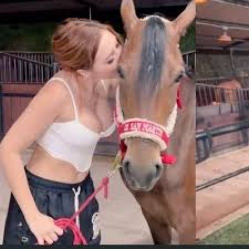 Aleena_says's tweet photo. Enlace de descarga aida victoria merlano horse video aida victoria merlano con caballo telegram

Watch full video
Link here ⤵️⤵️⤵️

https://t.co/hoATCulO6J

👆👆👆 https://t.co/Ze0purcVMg