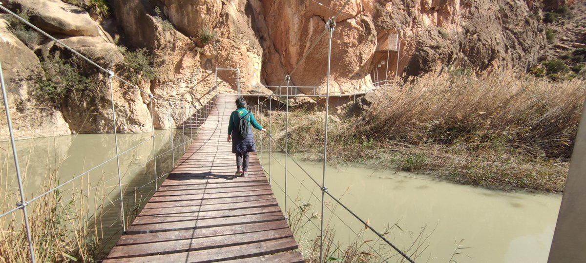 La_Carrasca's tweet image. 📷 Próxima Ruta: Ojós – fuente del Pino – mirador del azud de Ojós – puente tibetano
El próximo domingo, 2 de marzo.
En este enlace encontráis toda la información:
lacarrascaorg.wordpress.com/.../valle-de-r…
#valledericote #ojos #lacarrasca #lorca