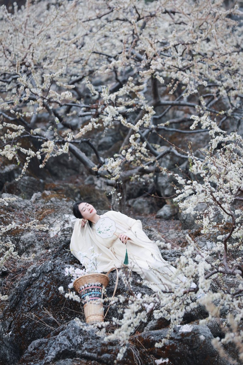 DiscoverGuangxi's tweet image. 😍Hey, the pear blossoms are blooming in #Guilin! Do you want to come check it out? #Springvibe #visitguangxiyear2025 #hanfu

📍 Daling Mountain in Gongcheng, Guilin. (桂林恭城大岭山)
📌Best time to visit: March is the perfect season for pear blossoms!
Cr. 劳拉梨姑娘