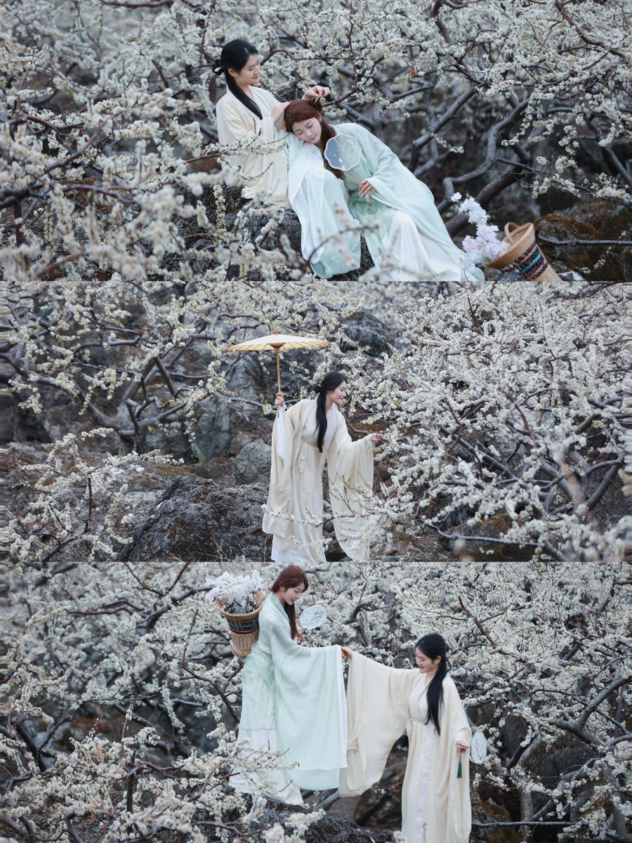 DiscoverGuangxi's tweet image. 😍Hey, the pear blossoms are blooming in #Guilin! Do you want to come check it out? #Springvibe #visitguangxiyear2025 #hanfu

📍 Daling Mountain in Gongcheng, Guilin. (桂林恭城大岭山)
📌Best time to visit: March is the perfect season for pear blossoms!
Cr. 劳拉梨姑娘
