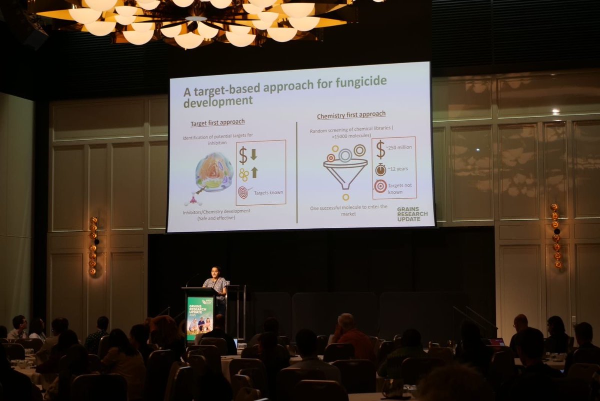 CCDM (@theccdm) on Twitter photo Great job to our CCDM students who just finished presenting at the #GRDCUpdates New Researchers session ๐ Be sure to find them during the updates to ask any burning questions you have on their intriguing research <a href="/theGRDC/">GRDC</a> <a href="/GRDCWest/">GRDC West</a> <a href="/CurtinUni/">Curtin University</a> <a href="/CuongVHan/">Viet-Cuong Han</a> <a href="/Anzaana1/">Anjana Sharma</a> <a href="/MohitulHossain/">Mohitul Hossain</a> Great job to our CCDM students who just finished presenting at the #GRDCUpdates New Researchers session ๐ Be sure to find them during the updates to ask any burning questions you have on their intriguing research <a href="/theGRDC/">GRDC</a> <a href="/GRDCWest/">GRDC West</a> <a href="/CurtinUni/">Curtin University</a> <a href="/CuongVHan/">Viet-Cuong Han</a> <a href="/Anzaana1/">Anjana Sharma</a> <a href="/MohitulHossain/">Mohitul Hossain</a>