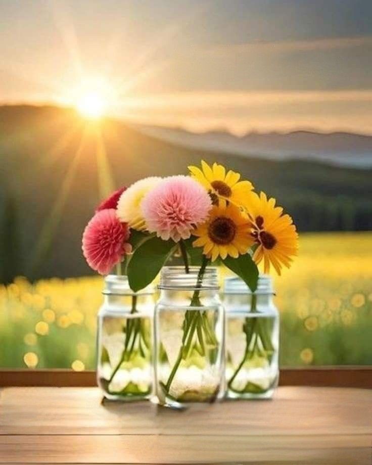 Assalam o Alaikum X MATES ❣️❣️ 
.
❣️❣️Happy Afternoon ❣️❣️