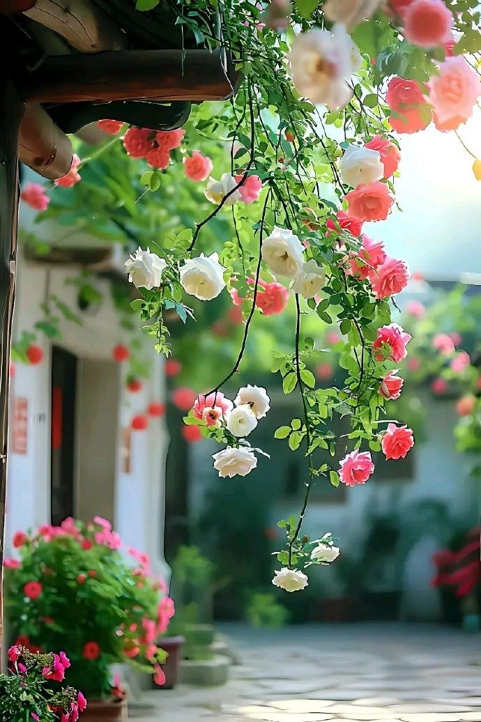 Assalam o Alaikum X MATES ❣️❣️ 
 .
❣️❣️Happy Afternoon ❣️❣️
❣️❣️Have a good day ❣️❣️
💯💯RT to RT 💯💯