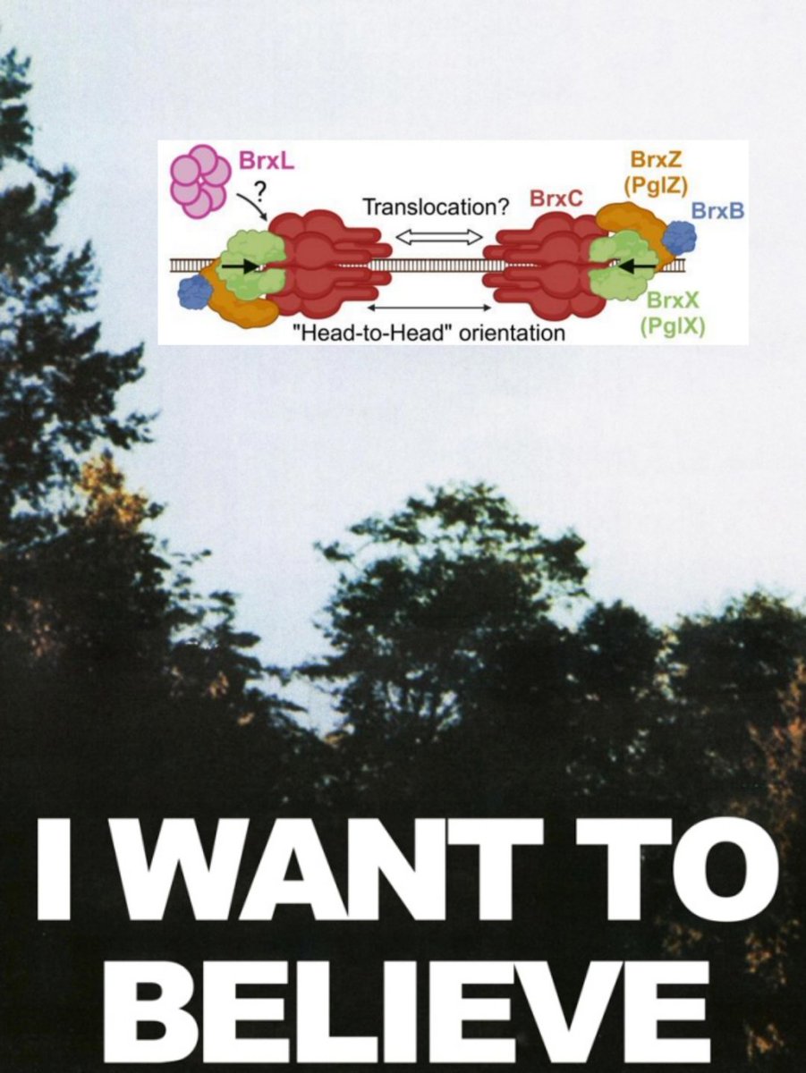 We have a kind of BREX lore at the lab, so I'm happy to become a part of it. At least as the person who made this meme