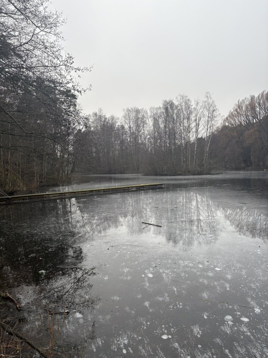 Väder och natur formar fyra nyanser av grå gråt att arkiveras under g som i grått.