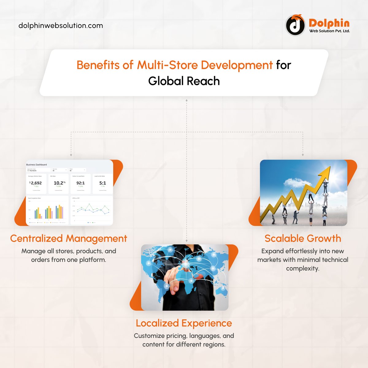 Dolphin Web Solution tweet media