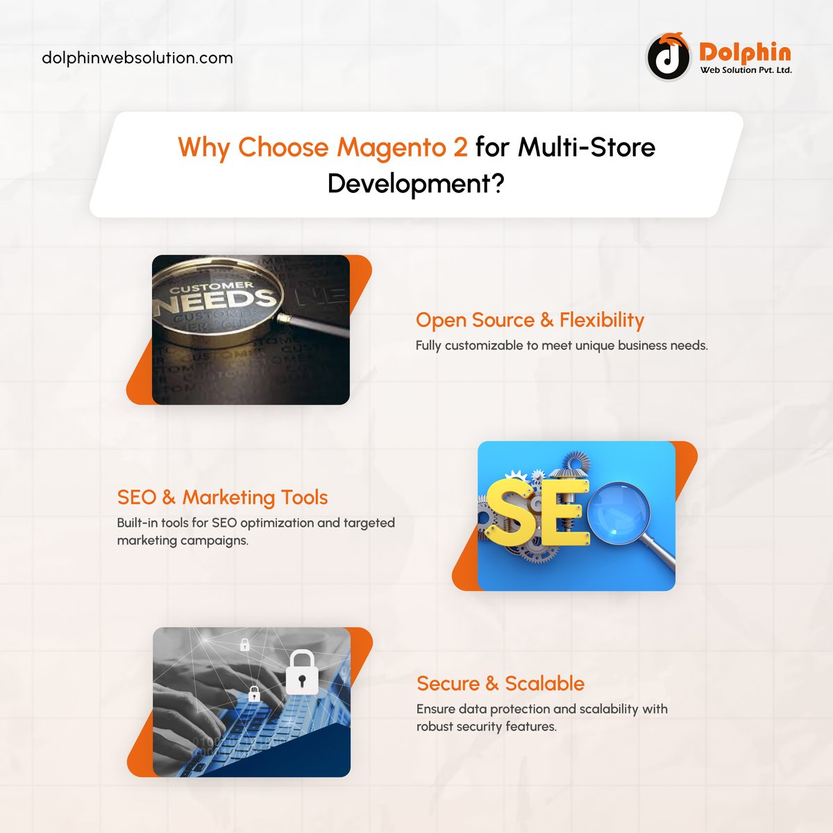 Dolphin Web Solution tweet media