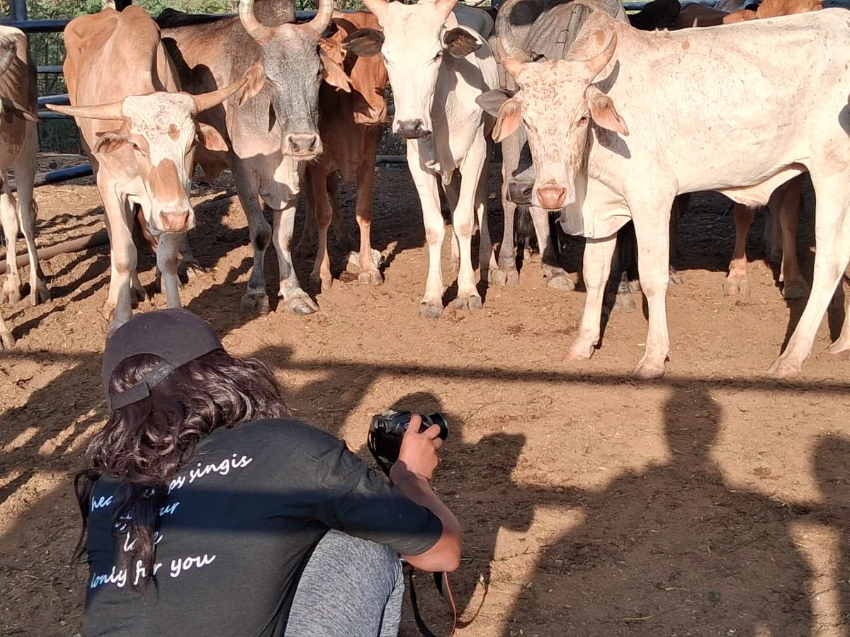 vversaglobal's tweet photo. Good morning from our team in Lodwar, Turkana, leading an upcoming video project in collaboration with @ViceVersaNL and Rael Lomoti, the founder of Desert Roses🎉🎉
📸 by @nicerawanjiruki and @photography.by.mbotela
#turkana
#videojournalism
#youngvoices
#lodwar
#journalismforsocialchange