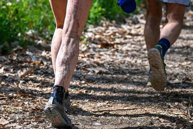LePopu_sports's tweet photo. #Running #Coursenature A vos dossards avec Les Godasses ambazacoises pour le Trail du dolmen
https://t.co/w0DJjubf5d https://t.co/PallmYEclD