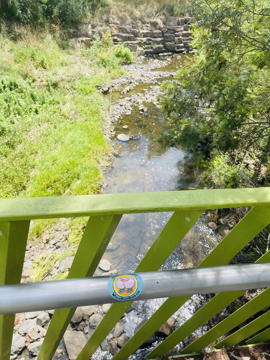 Willy Bum Bum stickers are now dotted around the globe. Big love to the $BUM family in Australia, UK, Nigeria, Canada, New Zealand, Ireland, and Switzerland. 🍆🍑🍑