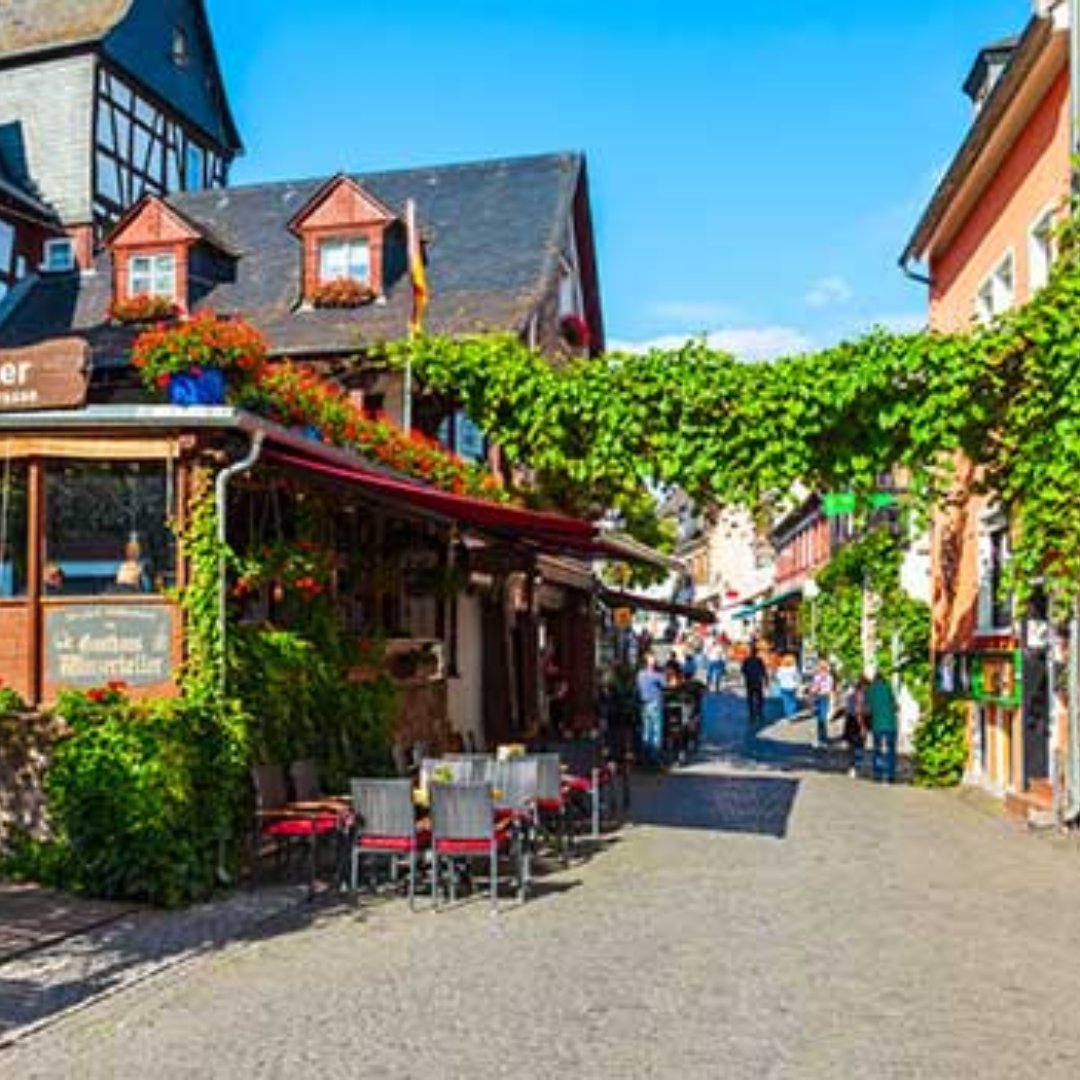 Discover Rüdesheim am Rhein, a wine lover’s paradise in the Rhine Valley! 🍇✨

🚡 Soar over vineyards to the Niederwald Monument.
🛥️ Cruise the stunning Rhine Gorge, a UNESCO site.
🍷 Visit the towns welcoming wineries.

 #WineTravel #GermanWine