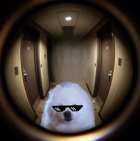 DappGiu's tweet photo. @Phil_95777 @BlueOceanEthan @BorkSOL Lfg https://t.co/oi3beAnFxQ