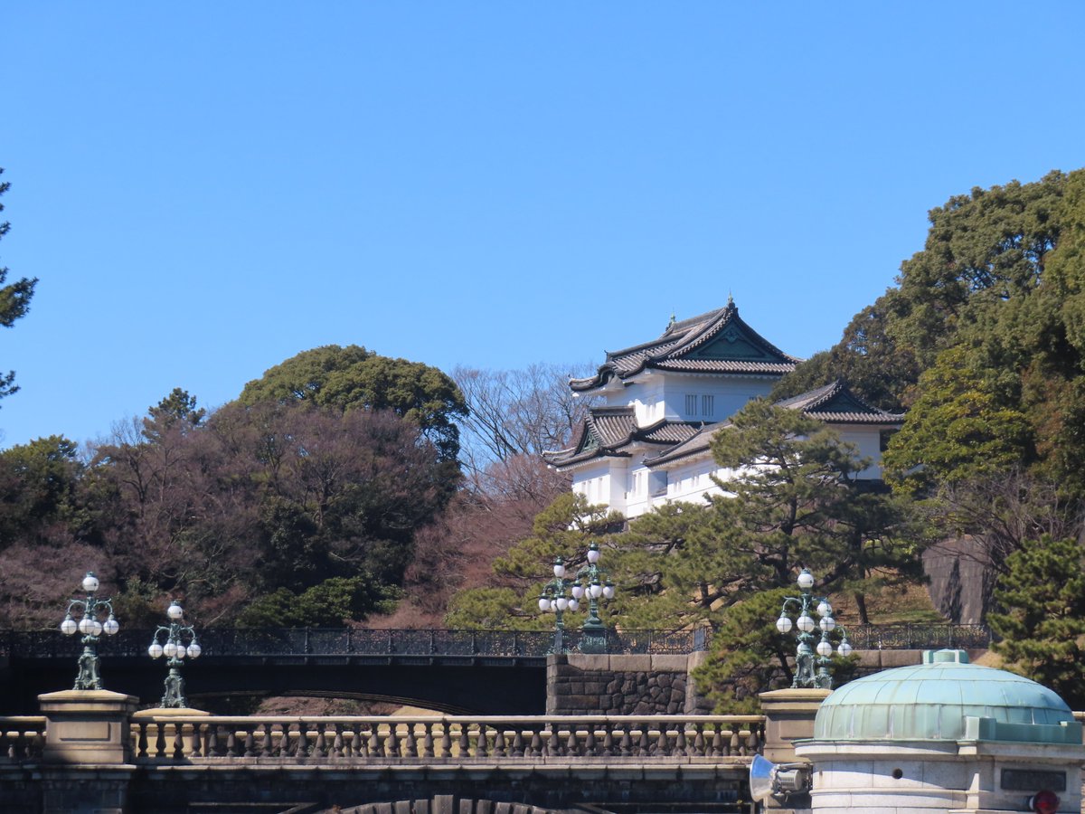 【春隣（はるとなり）】
昨日は多くの方々で賑わっていた #二重橋 を通り、#皇居東御苑 へ。やわらかな陽ざし☀️を背に歩いた先には #寒桜 。青く澄み切った空の下、枝いっぱいに広がる桜色の世界。そして、快活な #メジロ の姿に春の足音を感じました😊#伏見櫓 #散策 #青空 #SAKURA