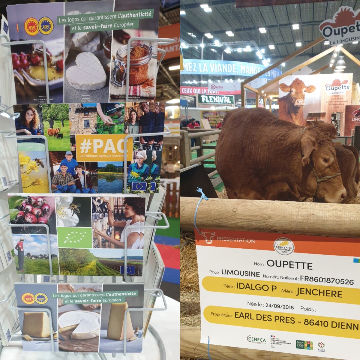 EuropeDirectPyr's tweet image. J3 au @Salondelagri pour EUROPE DIRECT Pyrénées aux côtés @EU_Commission
Venez à notre rencontre pour vous informer et échanger sur la PAC aujourd'hui et demain, pour apprendre en s'amusant et déguster des produits de qualité certifiés par l'Union européenne
🚜 🍎 🐄 🐏