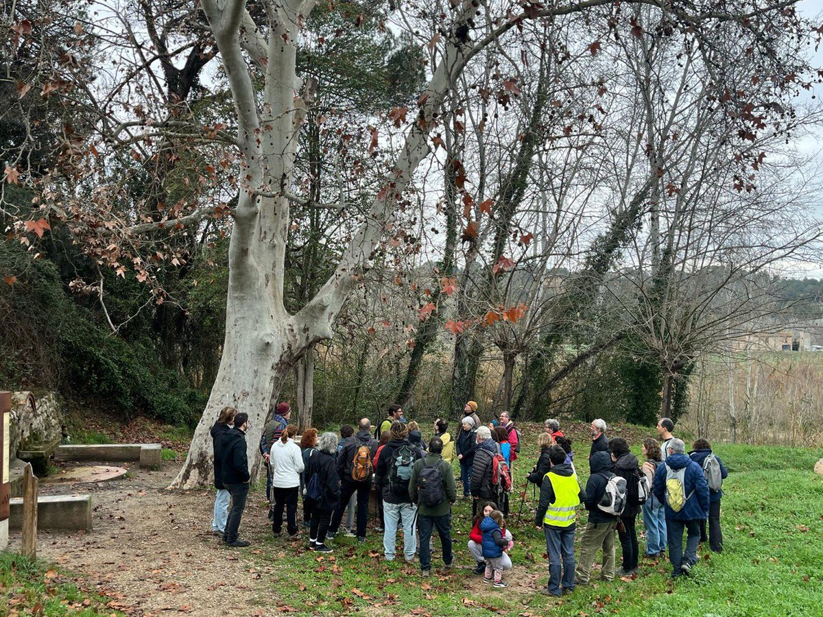 stopagroparc's tweet image. Ahir hem tingut un dia molt bonic. Hem fet la caminada per la zona afectada per l'agroparc d'Ametller Origen. Tenim clar la importància que té que és pugui conèixer els impactes d'aquest macroprojecte industrial d'Ametller Origen vestit de verd.
Gràcies per haver vingut!