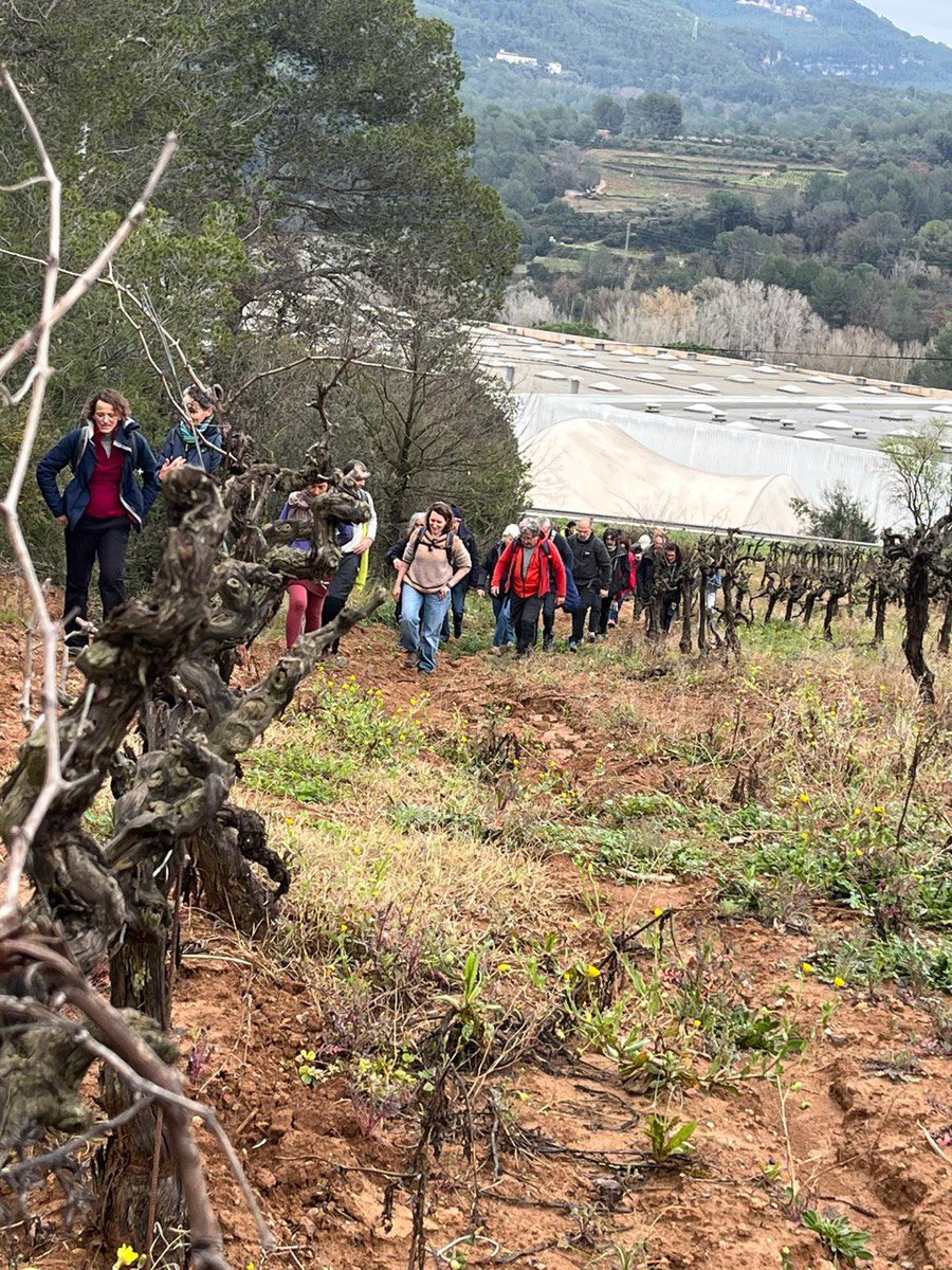 stopagroparc's tweet image. Ahir hem tingut un dia molt bonic. Hem fet la caminada per la zona afectada per l'agroparc d'Ametller Origen. Tenim clar la importància que té que és pugui conèixer els impactes d'aquest macroprojecte industrial d'Ametller Origen vestit de verd.
Gràcies per haver vingut!
