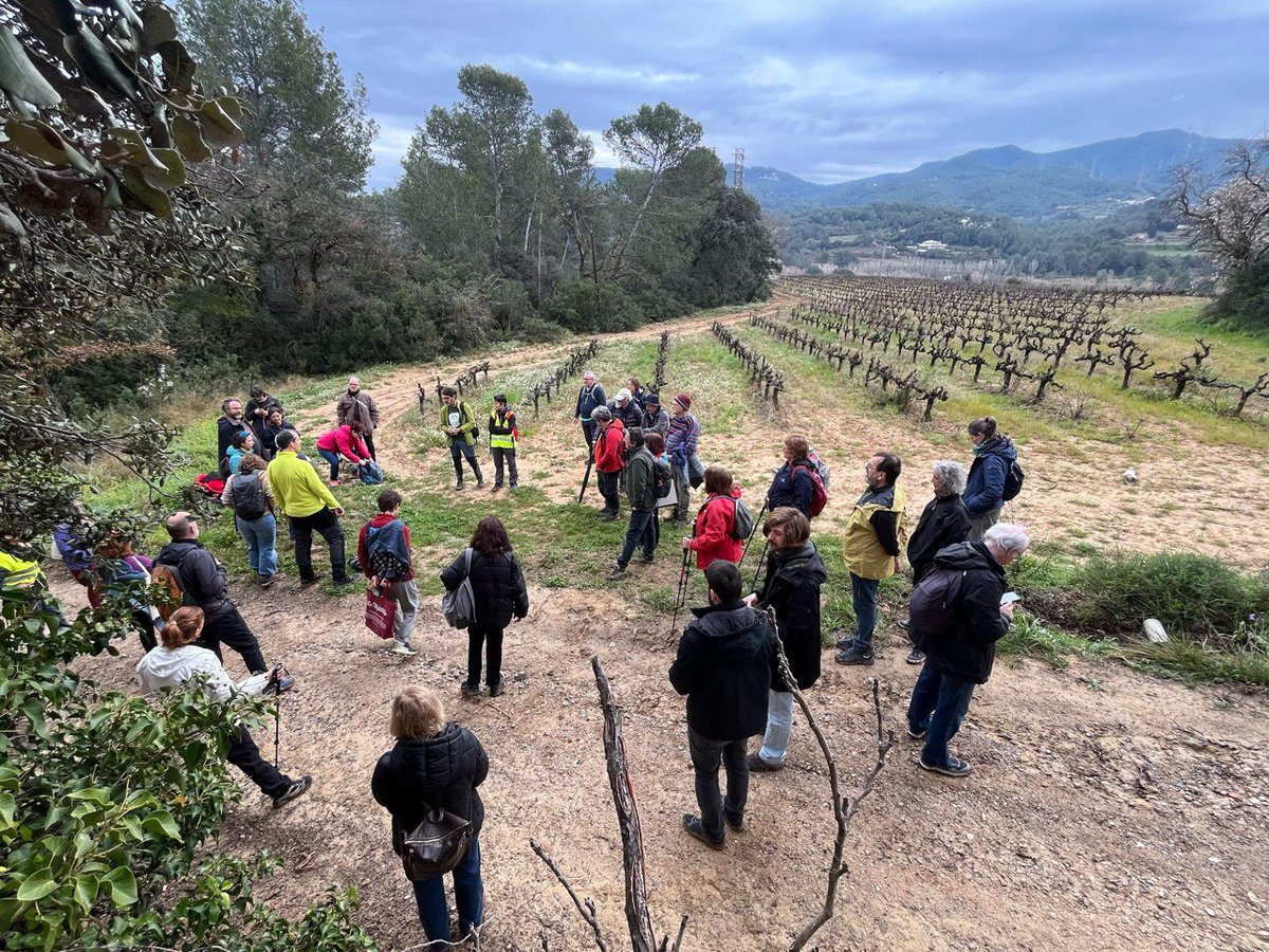 stopagroparc's tweet image. Ahir hem tingut un dia molt bonic. Hem fet la caminada per la zona afectada per l'agroparc d'Ametller Origen. Tenim clar la importància que té que és pugui conèixer els impactes d'aquest macroprojecte industrial d'Ametller Origen vestit de verd.
Gràcies per haver vingut!