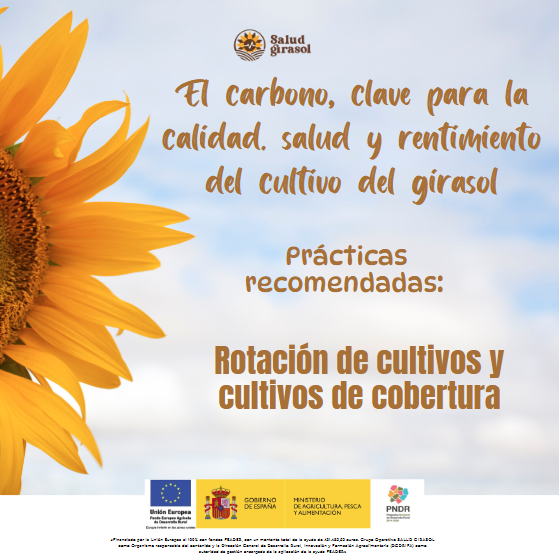 🌱 Cuidar el suelo es cuidar el futuro 🌍

🚜 Reduce la labranza intensiva.
🔥 Evita la quema de residuos.
🌾 Mantén la fertilidad y estructura del suelo.
ow.ly/Ms3i50UPejw