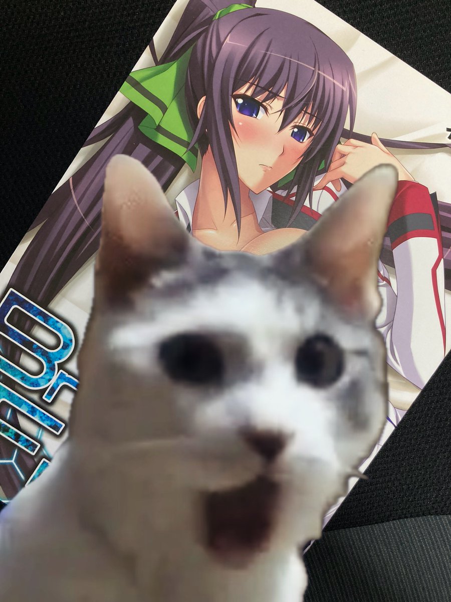 こんにちは最近はすっかり自作PCパーツ配りのお兄さんです。

今日も財布の中には3000円しかありません(*ﾉωﾉ)

それでも配る！

漢だろぅ？

今回配布するのはこちら！

【新品】MSI B450 GAMING PLUS
【新品】SiliconPower A55 (256GB)SATA SSD
【新品】Seagate 2.5inc FirCuda 2TB