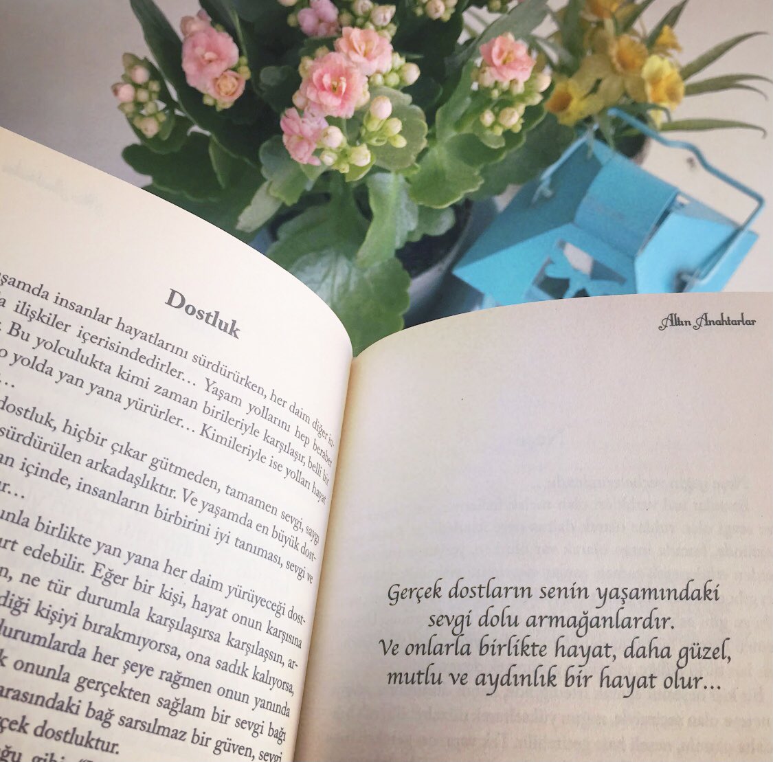 Bugün ve hafta için Altın Anahtarlar kitabından…
Dostluk…
Sevgi, mutluluk, dostluk dolu güzel, aydınlık bir hafta dileğiyle…