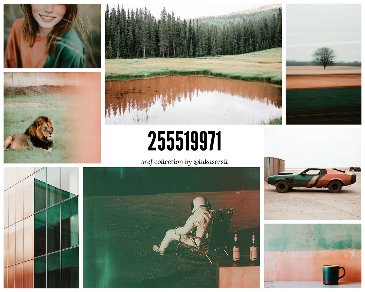 255519971 banner