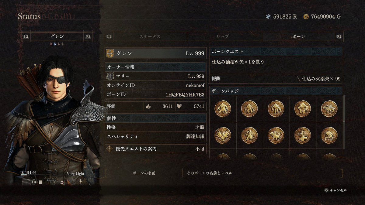 マリー@DD2 tweet media