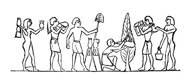 egyptomuseum's tweet photo. The “Feast of Drunkenness“, also known as the “Feast of Sekhmet“,  was a grand celebration. This raucous event, held annually in the New  Kingdom period, was designed to appease Sekhmet’s wrath and ensure the  harmony of the land. The festival, a fusion of divine ritual and  revelry, involved the consumption of vast quantities of beer and wine,  which would induce a state of intoxication among the participants. Far  from being a mere indulgence, the excesses were believed to mimic the  chaotic and uncontrollable nature of Sekhmet herself.