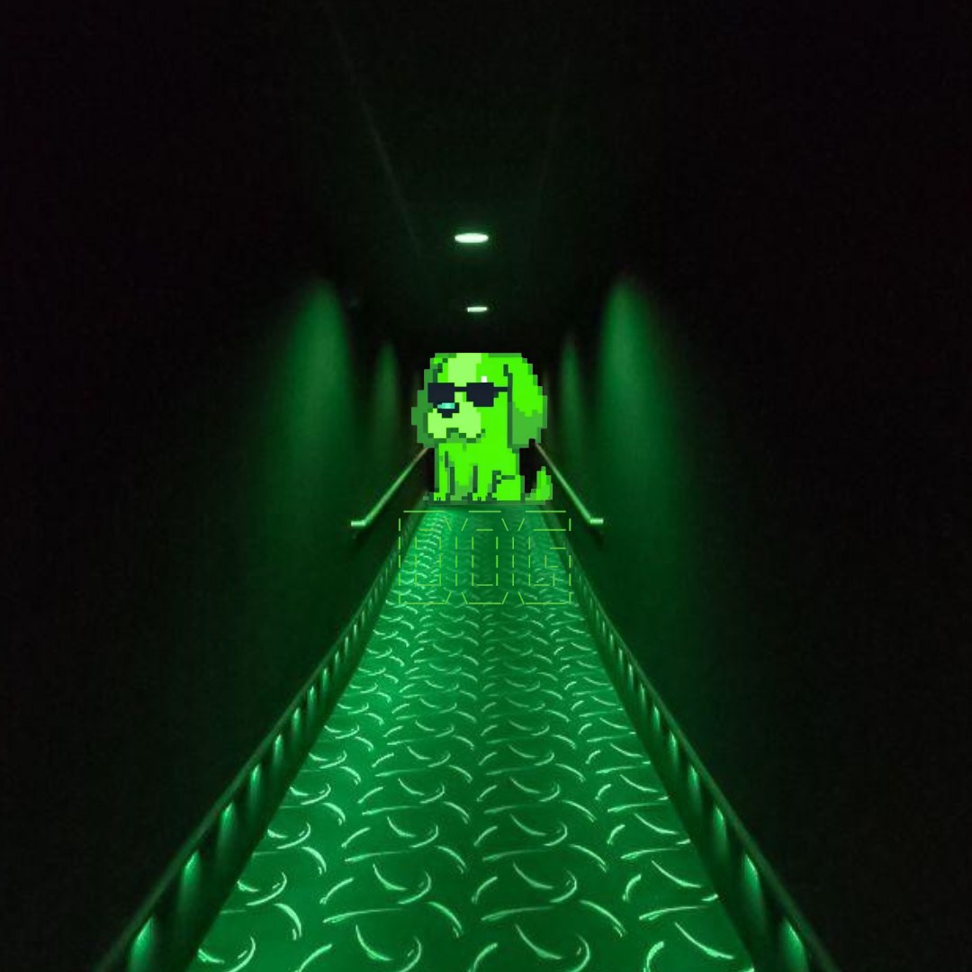 DogisMvp's tweet photo. Dog walking to ray https://t.co/0MXKNZvFAO
