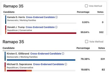 Musk's election hacking prowess is pretty crude, blowing data out in ways they almost seem to want to get caught.

Rockland Co, New York: Harris supposedly received ZERO votes in a district that the Dem Senate candidate won by 79%?