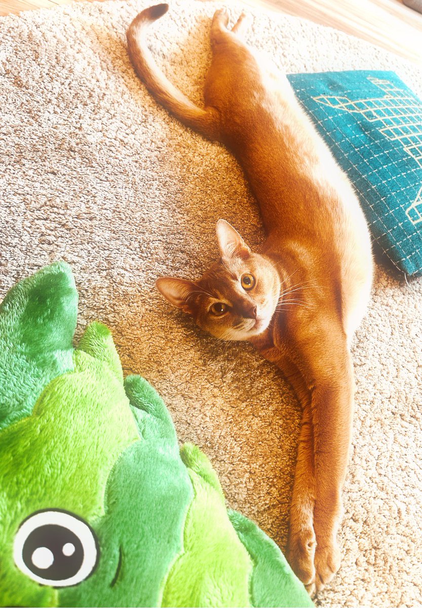 ⭐︎焼きサバさん専用⭐︎エンジェルトーク 送料込み】 ゴロっと荒ほぐし サバ 150g 真空パック メール便 手ほぐし