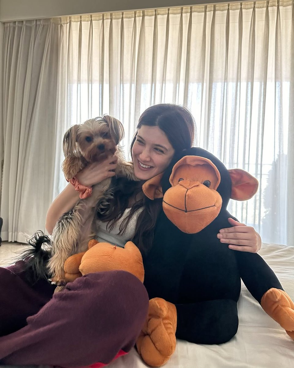 bombaytimes's tweet photo. Monday wali masti: #ShanayaKapoor and her gang are all set for some mischief ๐๐ถ๐
#celebs #gang #puppies #doggo #bollywood #shanaya #stufftoy #furryfriend https://t.co/uzwCzotIJK