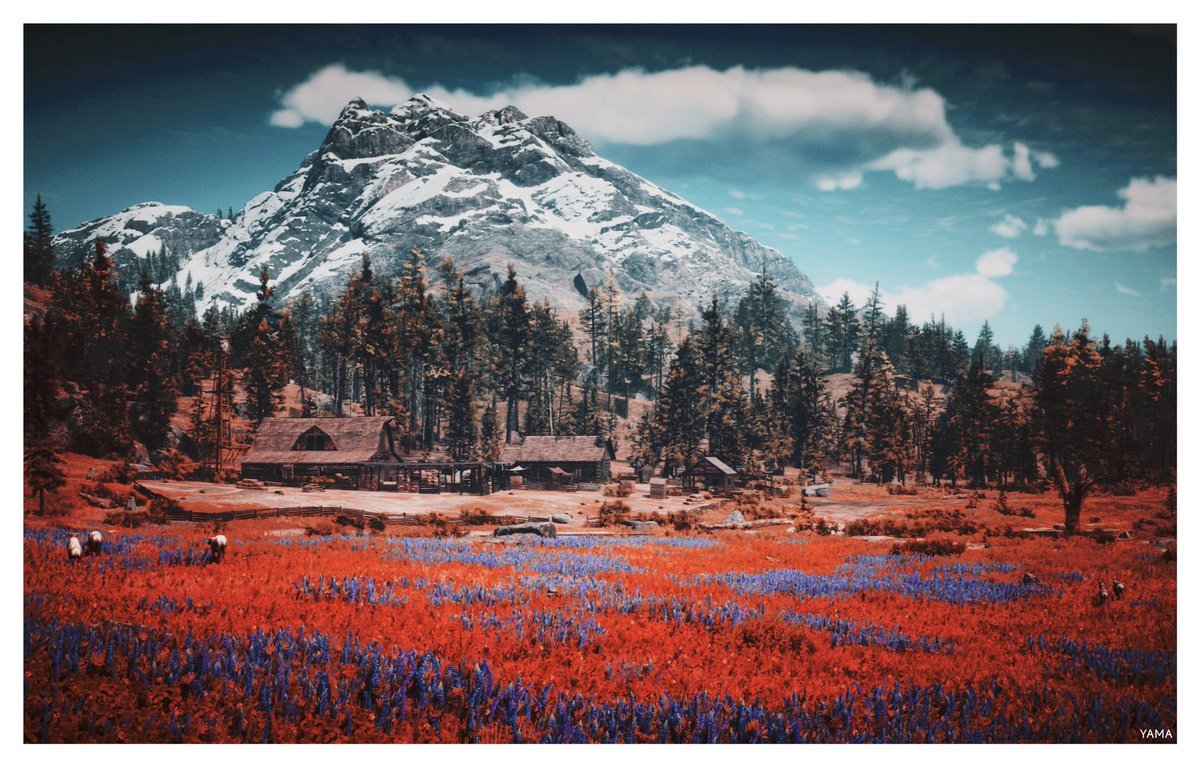 •O'Driscoll Cove 

#RedDeadRedemption2
#RDR2 #Landscape
#VirtualPhotography #Photography 
#PlayStation #PS5 
#RockstarGames
#Yama山