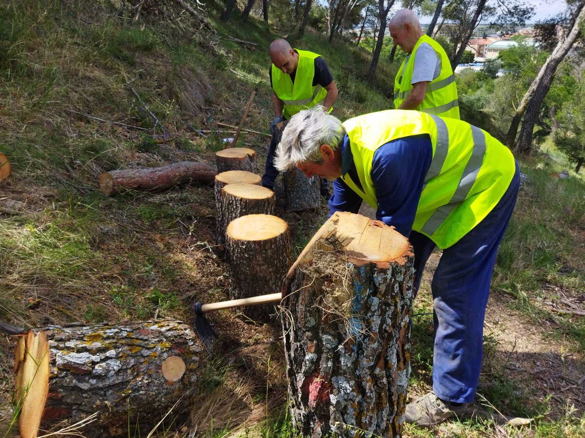 Medio Ambiente subvencionará con 331.827€ proyectos de educación, sensibilización y voluntariado ambiental y ciencia ciudadana

➡️El Departamento ha organizado una sesión informativa para explicar las bases de las ayudas 

📎Info: navarra.es/es/-/nota-pren…