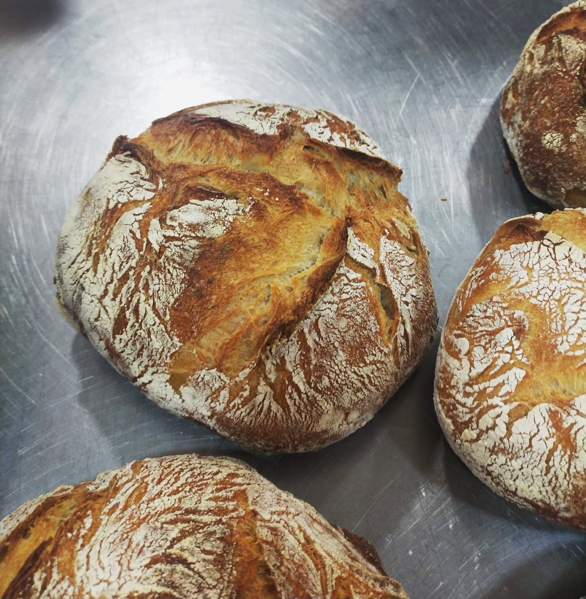 El pasado sábado, nuestr@s alumn@s disfrutaron de un estupendo taller de panes especiales. Durante cuatro horas de formación teórica y práctica, aprendieron a crear deliciosos panes artesanales como: Pan de masa madre, Pan integral, Pan de chía, Pan de hamburguesa, Pan de molde
