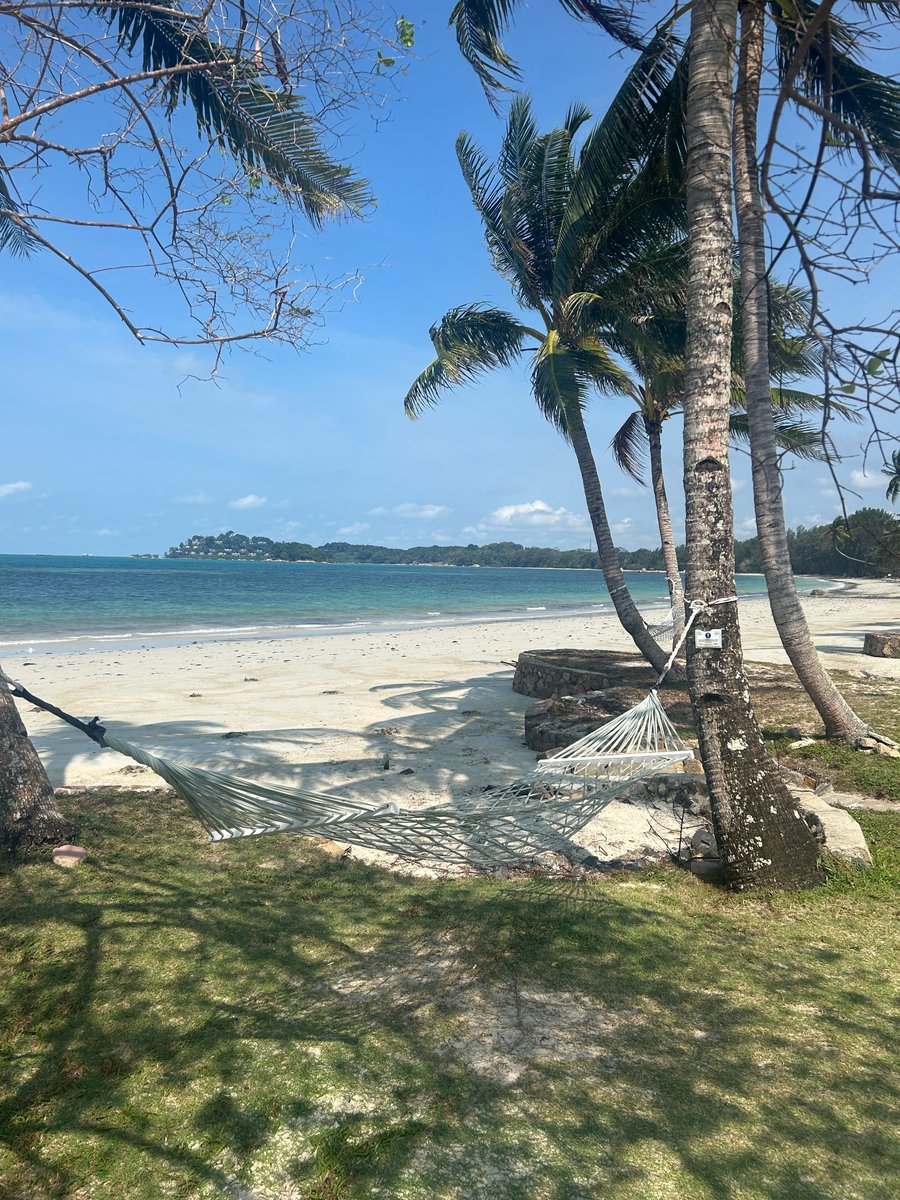 Pikey5000's tweet photo. And so two unforgettable weeks in Singapore come to an end. This is rapidly becoming a second home and I have loved every trip. I was lucky enough to work with Theatre and Film, students at UWC, Stamford American, Dulwich College, Australian International and Tanglin Trust. https://t.co/jFmPqlcTi7