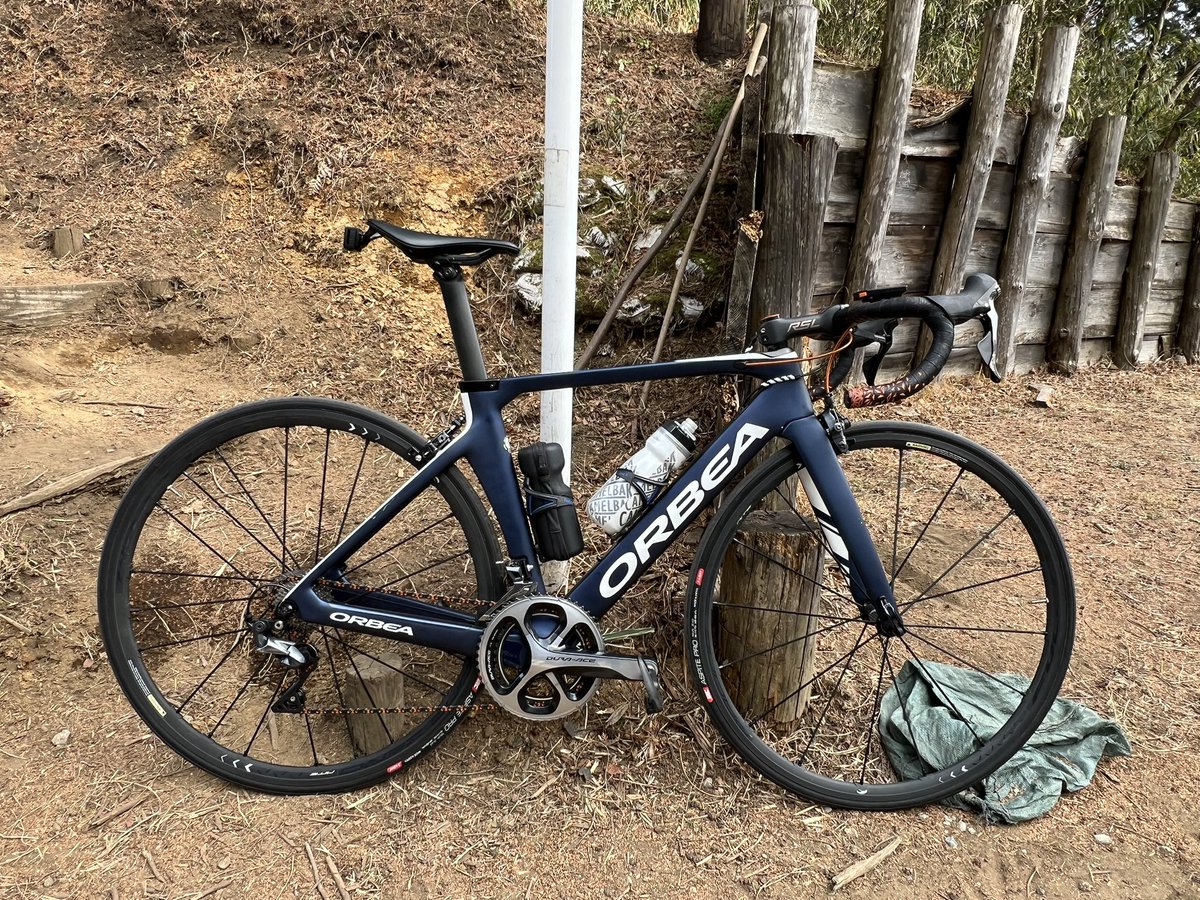 久しぶりにチャリ
体力無さすぎて死にかけながらヒルクライム😇