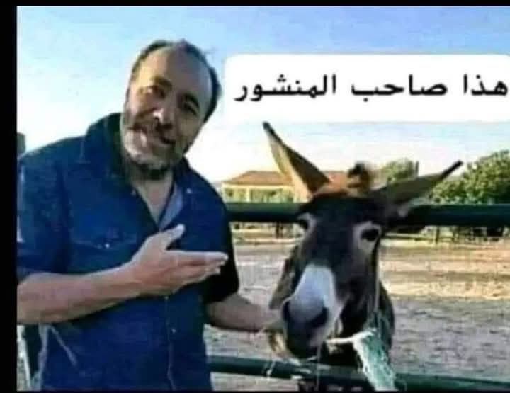 sayed_melhem's tweet photo. @Nasr_Amer1 https://t.co/BJPT8WsZOw