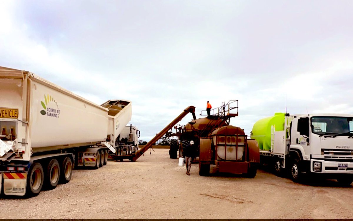 Sam Correll tweet media