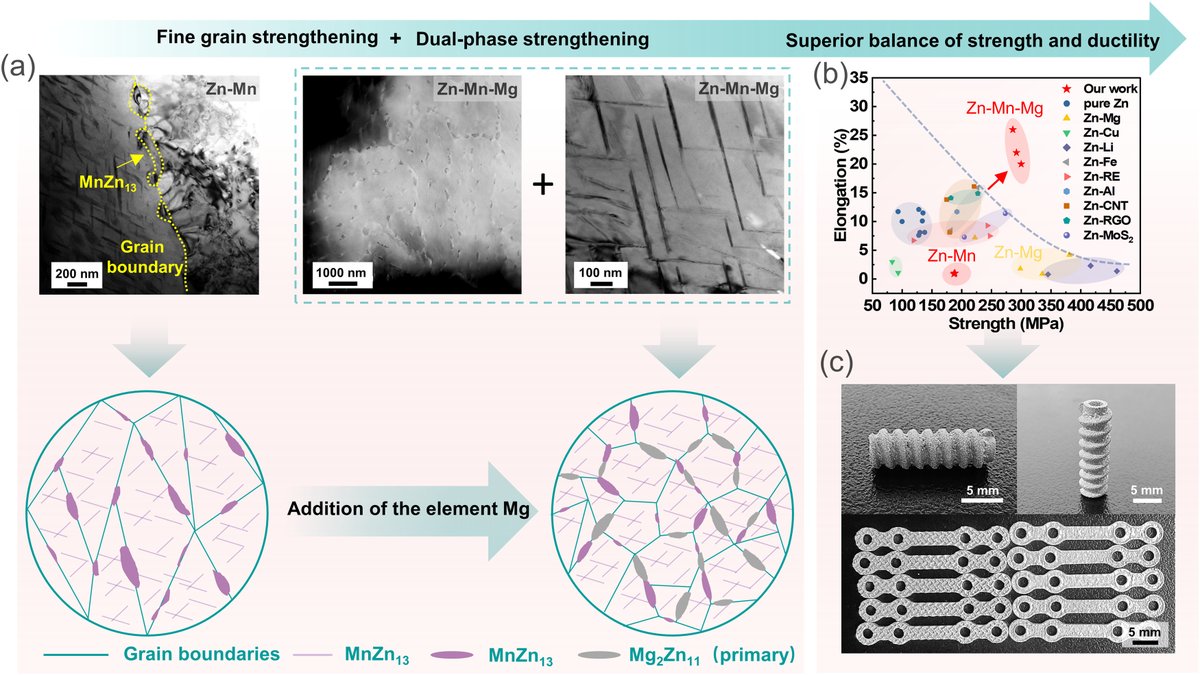 Yageng Li (@yagengli) on Twitter photo Our lastest study has achieved an unprecedented balance of strength and ductility in additively manufactured biodegradable Zn-Mn-based alloys. A step closer to customized degradable bone fixation devices. Check our paper here: doi.org/10.1016/j.actb…
<a href="/ActaBio/">Acta Biomaterialia</a> <a href="/amir_zadpoor/">Amir A Zadpoor</a> Our lastest study has achieved an unprecedented balance of strength and ductility in additively manufactured biodegradable Zn-Mn-based alloys. A step closer to customized degradable bone fixation devices. Check our paper here: doi.org/10.1016/j.actb…
<a href="/ActaBio/">Acta Biomaterialia</a> <a href="/amir_zadpoor/">Amir A Zadpoor</a>